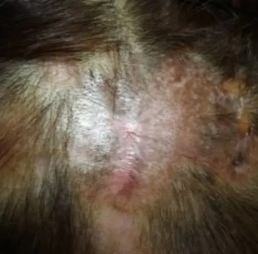 After Image