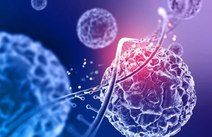 Stemcells